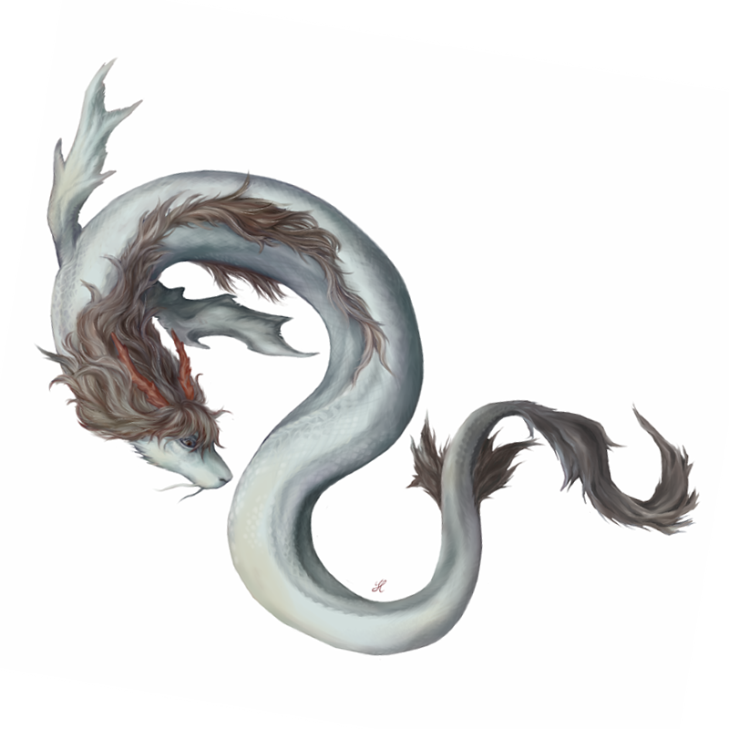 20200823_as.png